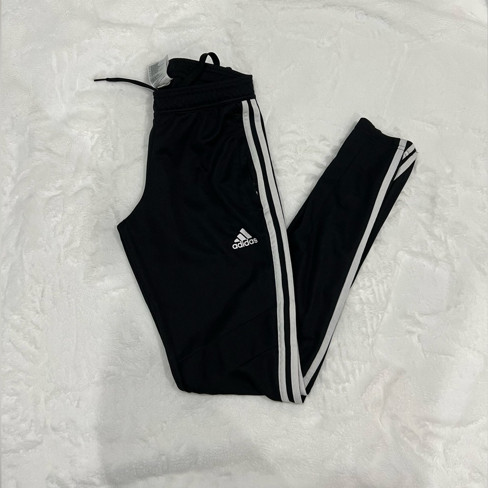 Adidas Tiro 19 Training Jogger Pants